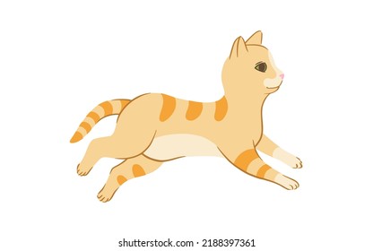 Lying striped cat in doodle style. Colored playful cat. Cute vector illustration isolated in white background
