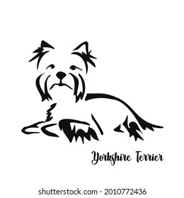 Lying stylized Yorkshire terrier. Vector drawing of a small dog with a haircut and hypoallergenic hair