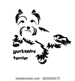 Lying stylized Yorkshire terrier. Vector drawing of a small dog with a haircut and hypoallergenic hair
