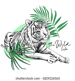 Lying tiger and exotic palm leaves. Rest. Card, t-shirt composition, hand drawn style print. Vector illustration.