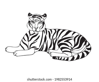 Lying tiger resting after hunting. Big wild tabby cat. Jungle dweller. Vector stock illustration in doodle style isolated on white background.