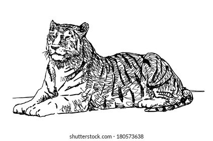 Lying tiger sketchy vector drawing isolated on white background