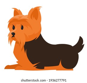 Lying Yorkshire Terrier. Cute pet in cartoon style.