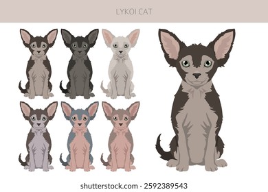 Lykoi Cat clipart. All coat colors set.  All cat breeds characteristics infographic. Vector illustration