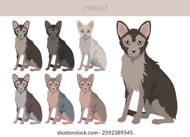 Lykoi Cat clipart. All coat colors set.  All cat breeds characteristics infographic. Vector illustration