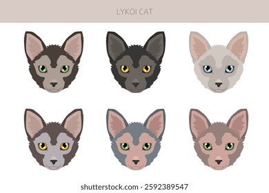 Lykoi Cat clipart. All coat colors set.  All cat breeds characteristics infographic. Vector illustration