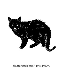 Lykoi Cat Vector Hand Drawing Illustration Stock Vector (Royalty Free ...