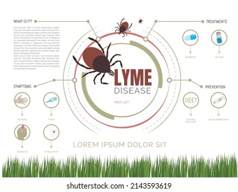 Lyme disease infographic .World Lyme disease day which is contracted by the bite of an infected tick.