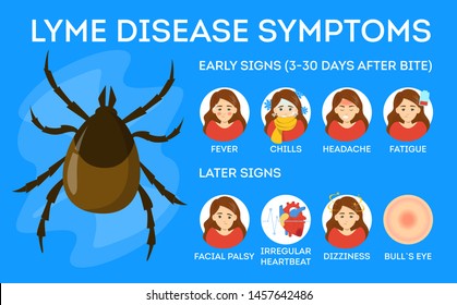 Lyme disease symptoms. Danger for health from tick bite, borreliosis infection. Internal organs illness. Vector illustration in cartoon style