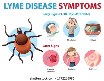 Información sobre síntomas de la enfermedad de Lyme