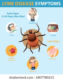 Lyme disease symptoms information infographic illustration