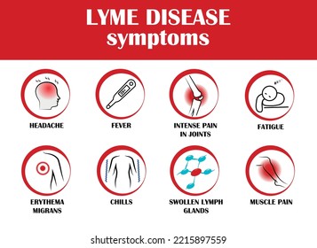 Lyme Disease Symptoms, Vector Icon With Symptoms