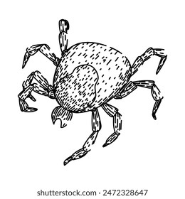 garrapata de lyme dibujada a mano. mordedura de ácaro, animal parásito, chinche de cama garrapata de lyme boceto de Vector. ilustración negra aislada