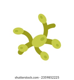 Lymph Nodes icon in vector. Illustration