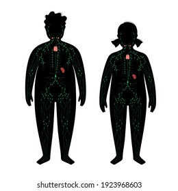 lymphatic system concept. Ducts in obese child silhouette. Lymphatic vessels, tonsil, thymus, spleen in overweight boy and girl body. Lymph nodes. Medical anatomical poster flat vector illustration.