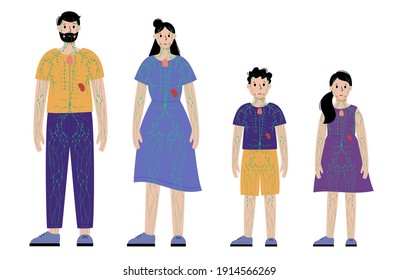 concepto de sistema linfático. Anatomía de ganglios linfáticos. Ductos en silueta humana. Vasos linfáticos, tonsil, timo, bazo en el cuerpo de hombre, mujer, niño y niña. Cartel anatómico gráfico plano de vectores