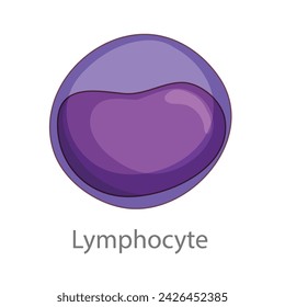 Lymphocyte. Diagram of common stem cell types. Science banner isolated on background. Medical microscopic molecular conception. Premium Illustration file svg