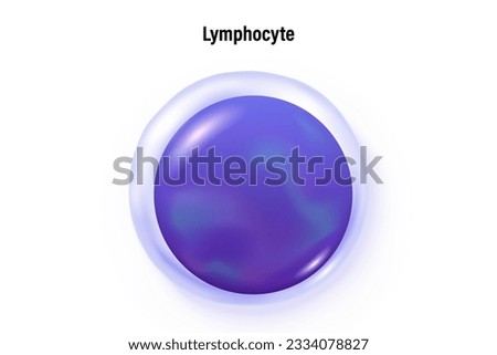 Lymphocyte vector. Type of white blood cell. Blood cell types. Leukocyte. Medical education.