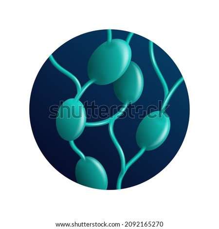 Lymphonodus 3D icon - lymph nodes gland organs of adaptive immune system