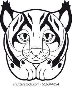 lynx
