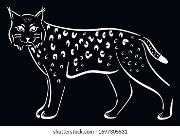 Lynx, animal chalk vector isolated on black background. Concept for logo, icon, print