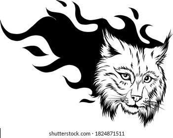 Lynx animal face. Vector Eurasian lynx cat head portrait.