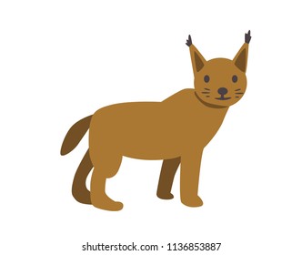 Lynx, bobcat. Flat vector illustration. Isolated on white background