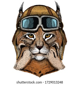 Lynx, bobcat, trot portrait. Head of wild cat. Animal face. Vintage aviator helmet with googles.