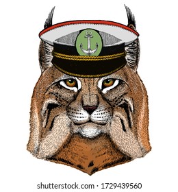 Lynx, bobcat, trot portrait. Head of wild cat. Animal face.