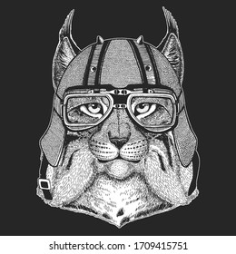 Lynx, bobcat, trot portrait. Vintage motorcycle leather helmet. Head of wild cat. Animal face.