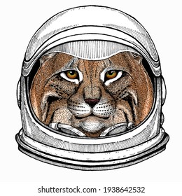 Lynx, bobcat. Wild cat. Vector portrait of cat head. Astronaut animal. Vector portrait. Cosmos and Spaceman. Space illustration about travel to the moon. Funny science hand drawn illustration.