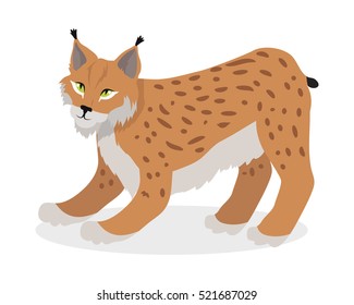 Lynx, bobcat, wildcat isolated on white. Cat family member. Lynx genus of medium-sized wild cats. Felids. Pantherinae jaguar, leopard. Caracal, Jungle cat. Flat style. Vector illustration