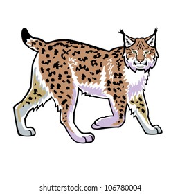 lynx ,bobcat,vector image isolated on white background,side view