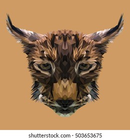 Lynx cat animal low poly design. Triangle vector illustration.