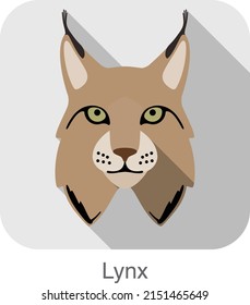 Lynx, Cat breed face cartoon flat icon design