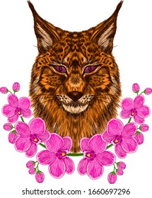 lynx cat orange animal Orchid flower wreath composition pink vector illustration print