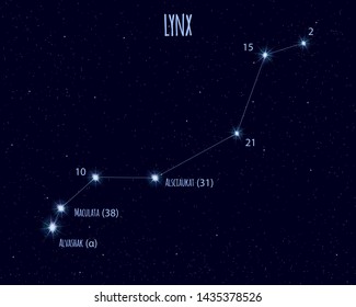 Lynx constellation, vector illustration with the names of basic stars against the starry sky