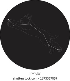 Lynx Constellation Vector on Black Background