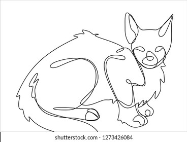 Lynx. Continuous line