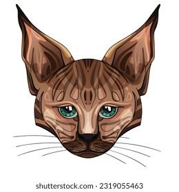 Lynx, frontal view. Vector illustration