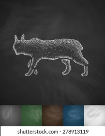 lynx icon. Hand drawn vector illustration. Chalkboard Design