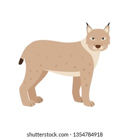 Lynx. Isolated vector illustration