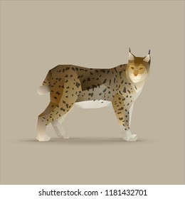 lynx lynx, norden wildcat vector illustration