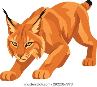 lynx poised to pounce three-quarter view full body vector illustration