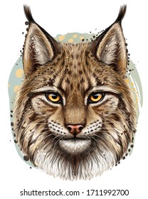 Lynx  Realistic  hand  drawn  color portrait lynx head white background in watercolor style 
