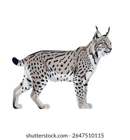 Lynx in side view – full body vector illustration on white background, 2D vector illustration