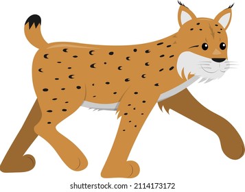 lynx from side walking isolated on white background, cute vector illustration for children and kids