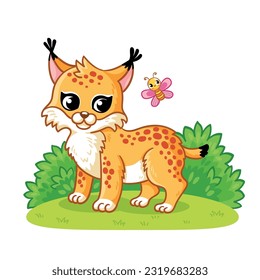 The lynx stands in a forest clearing. Vector illustration with forest animal in cartoon style.