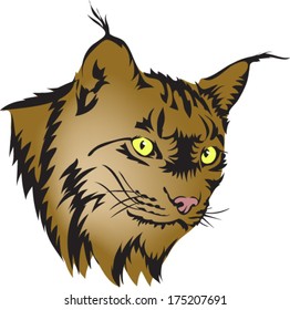  Lynx  tiger vector