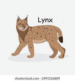 Lynx Vector Illustration: Wild Feline Animal